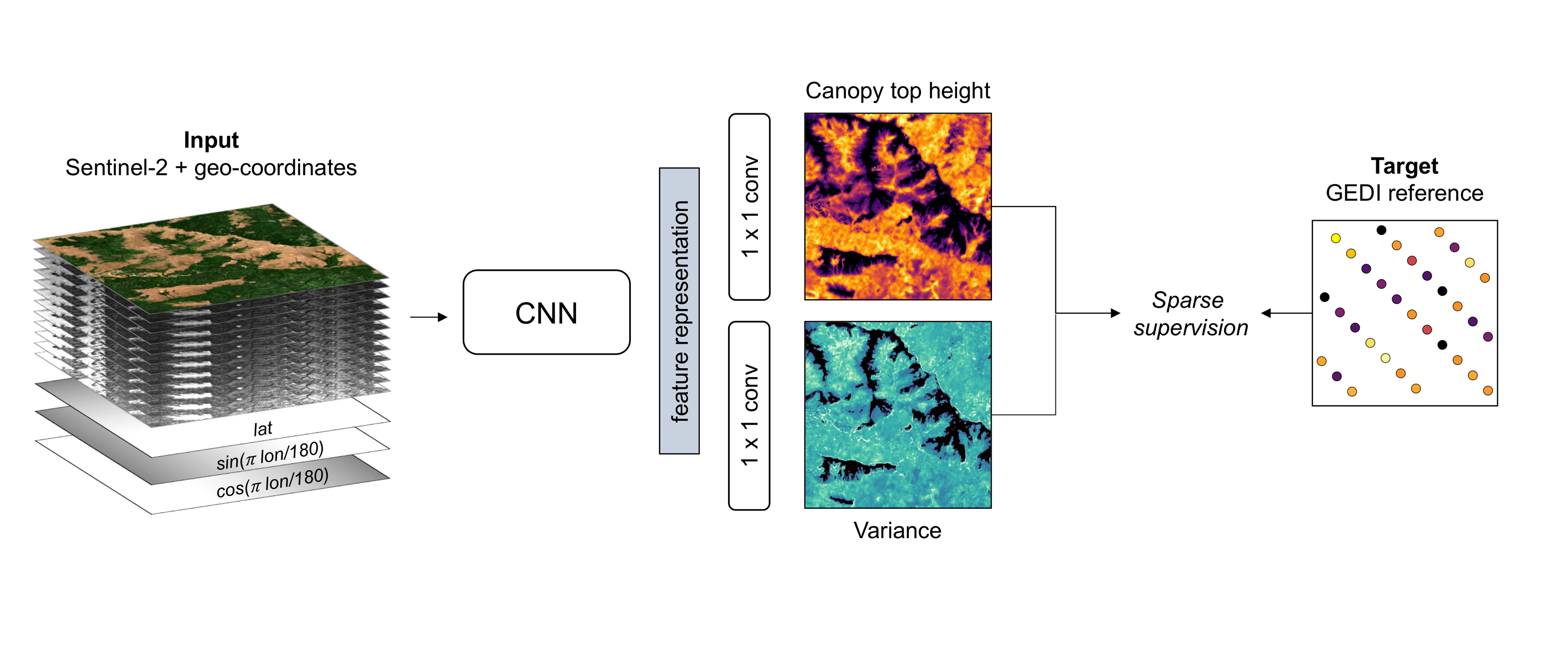 A high-resolution canopy height model of the Earth